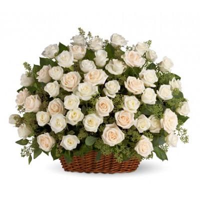 White Roses Basket 50 Stems